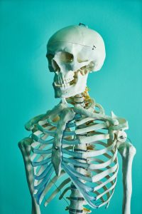 Postura del corpo scheletro